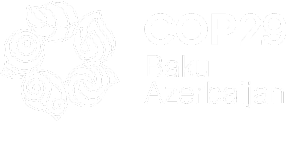 COP29