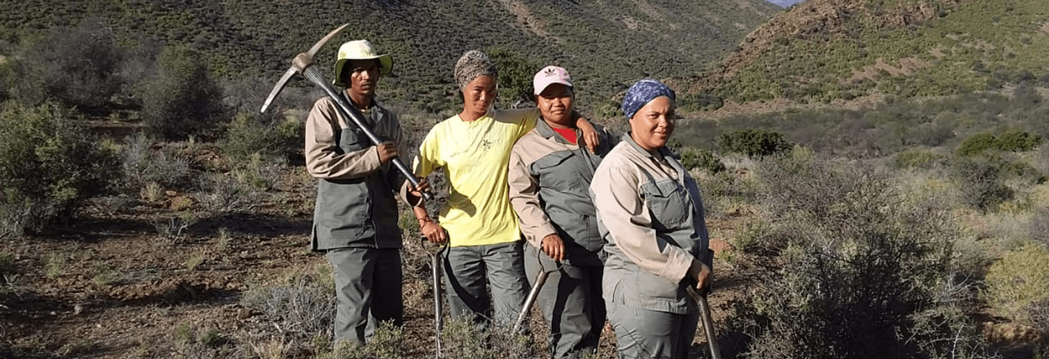 respek nature background